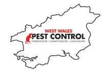 West Wales Pest Control